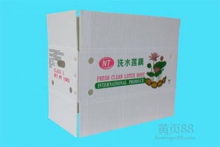 【,飞燕塑胶制品图,珠海钙塑蔬菜箱厂家】-