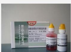 试剂盒怎么使用,尺寸,价格